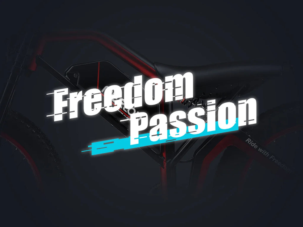 1000W 52V Fat Tire E-Bike