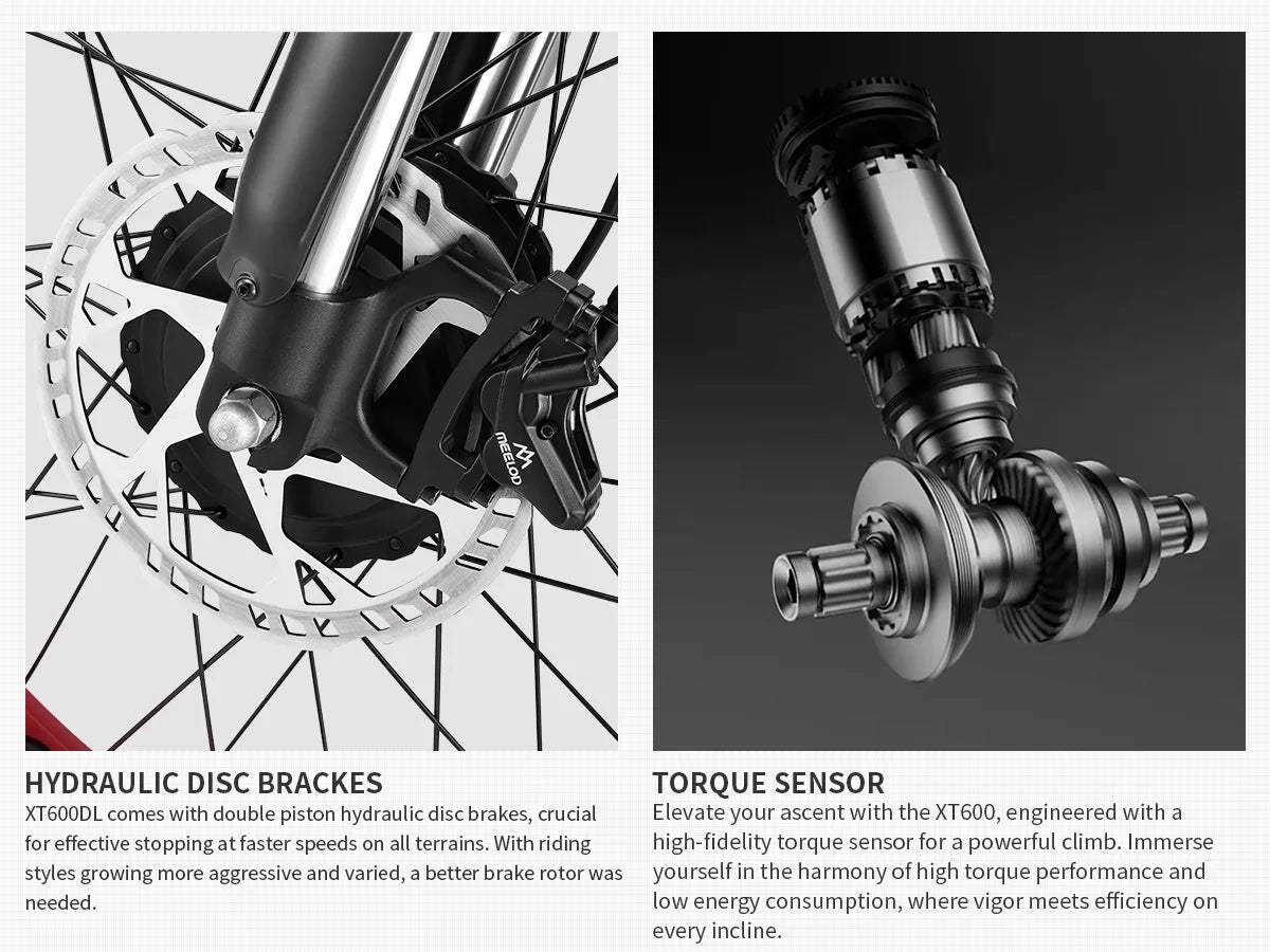 1000W 52V Fat Tire E-Bike