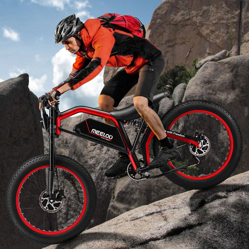 1000W 52V Fat Tire E-Bike