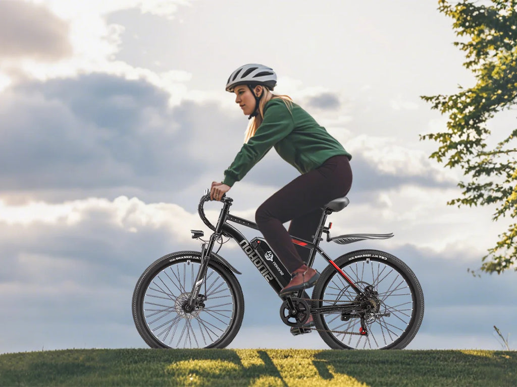 EM200G 500W 48V Commuter E-Bike