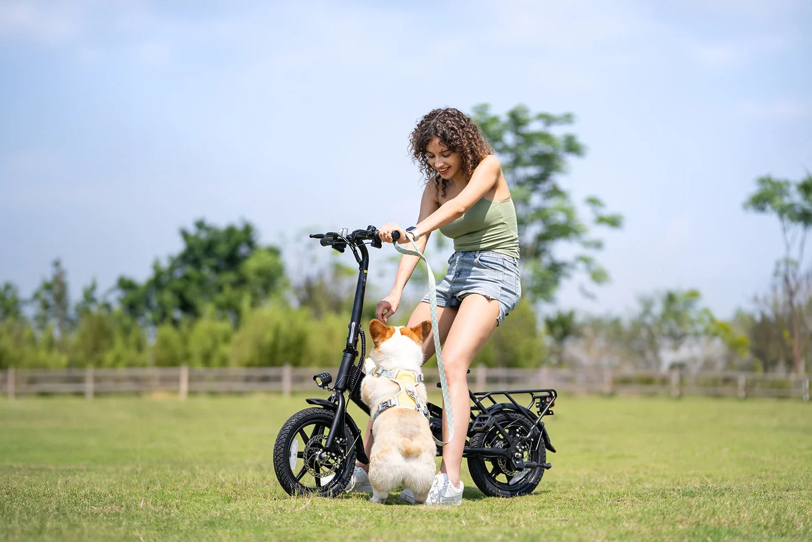 36V Foldable City E-Bike