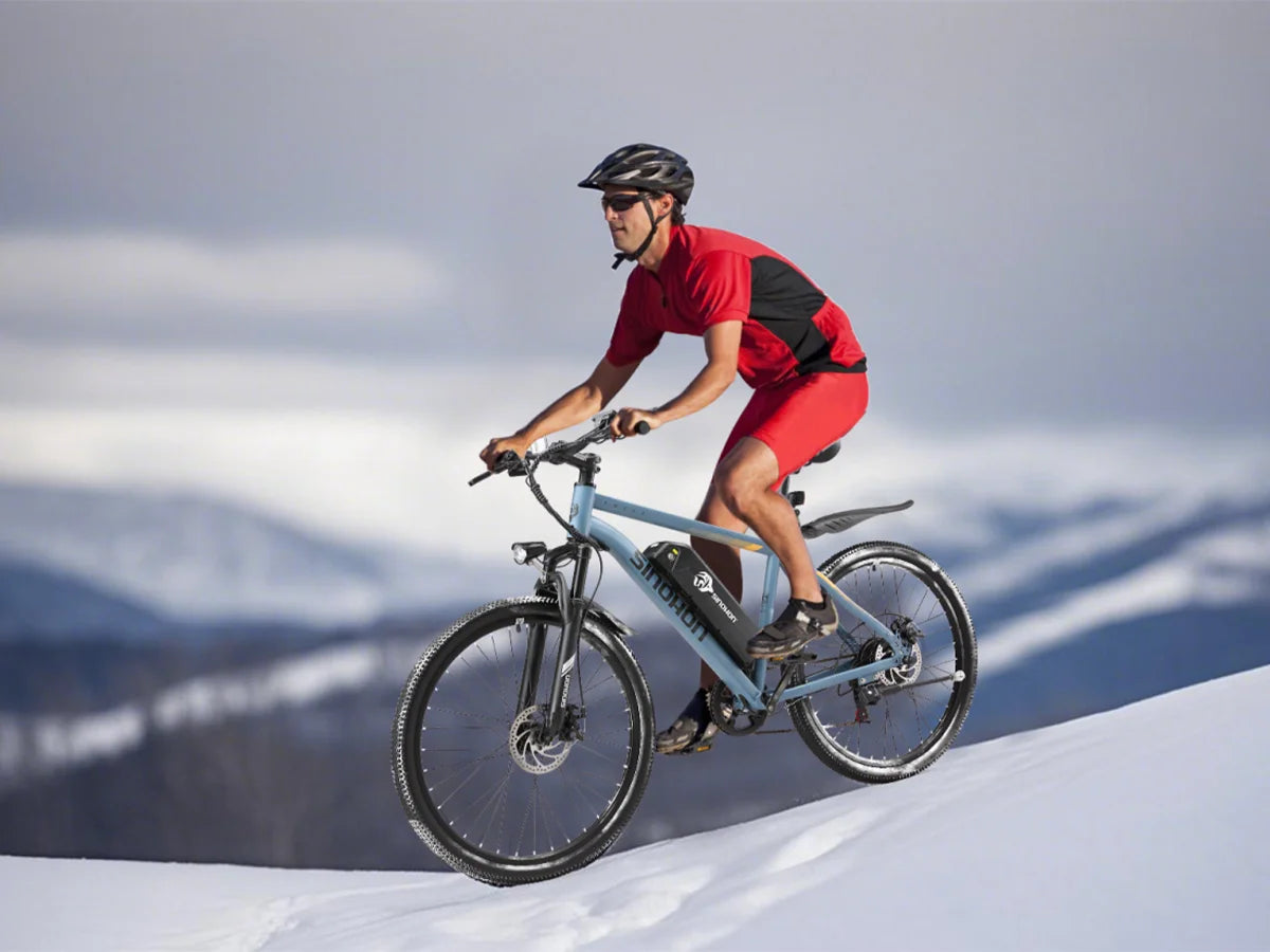 EM200G 500W 48V Commuter E-Bike