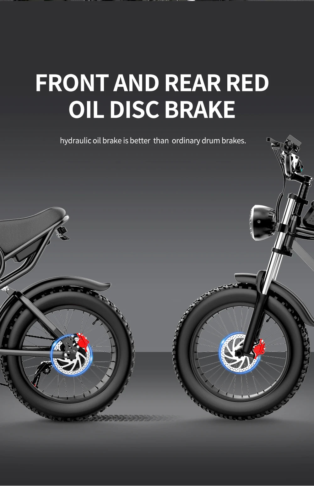 2000W 52V Fat Tire E-Bike