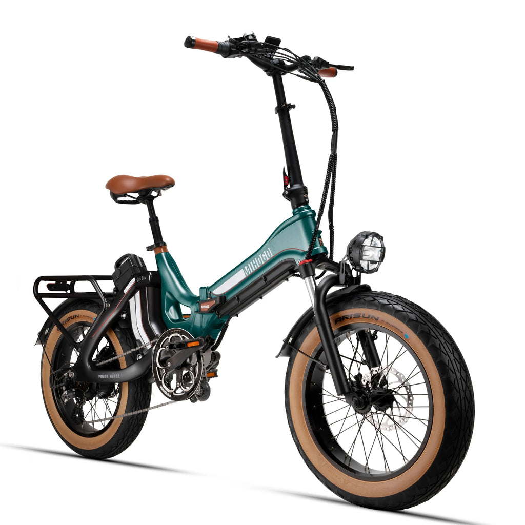 750W 48V Dual Battery E-Bike