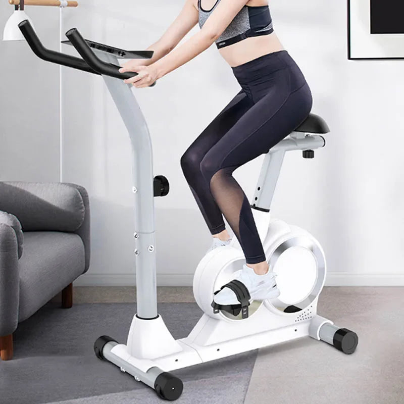 Silent Home Exercise Bike