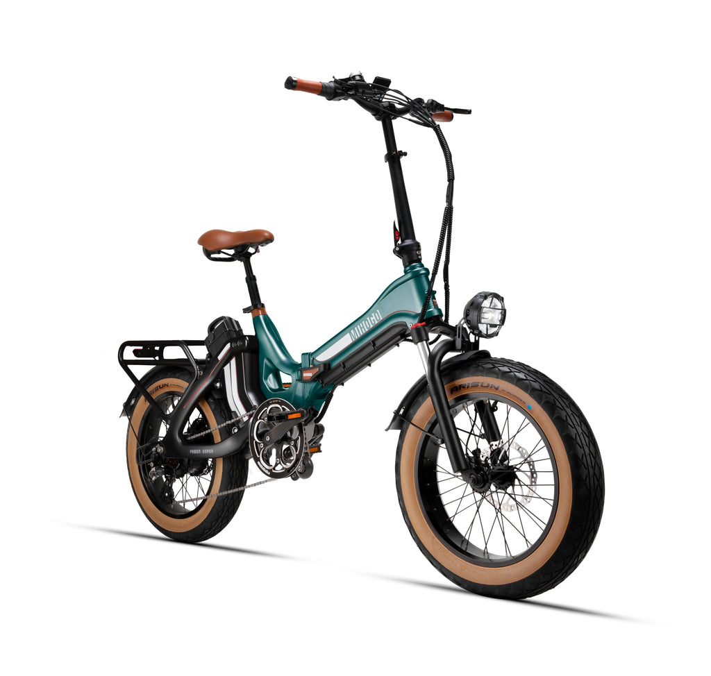 750W 48V Dual Battery E-Bike