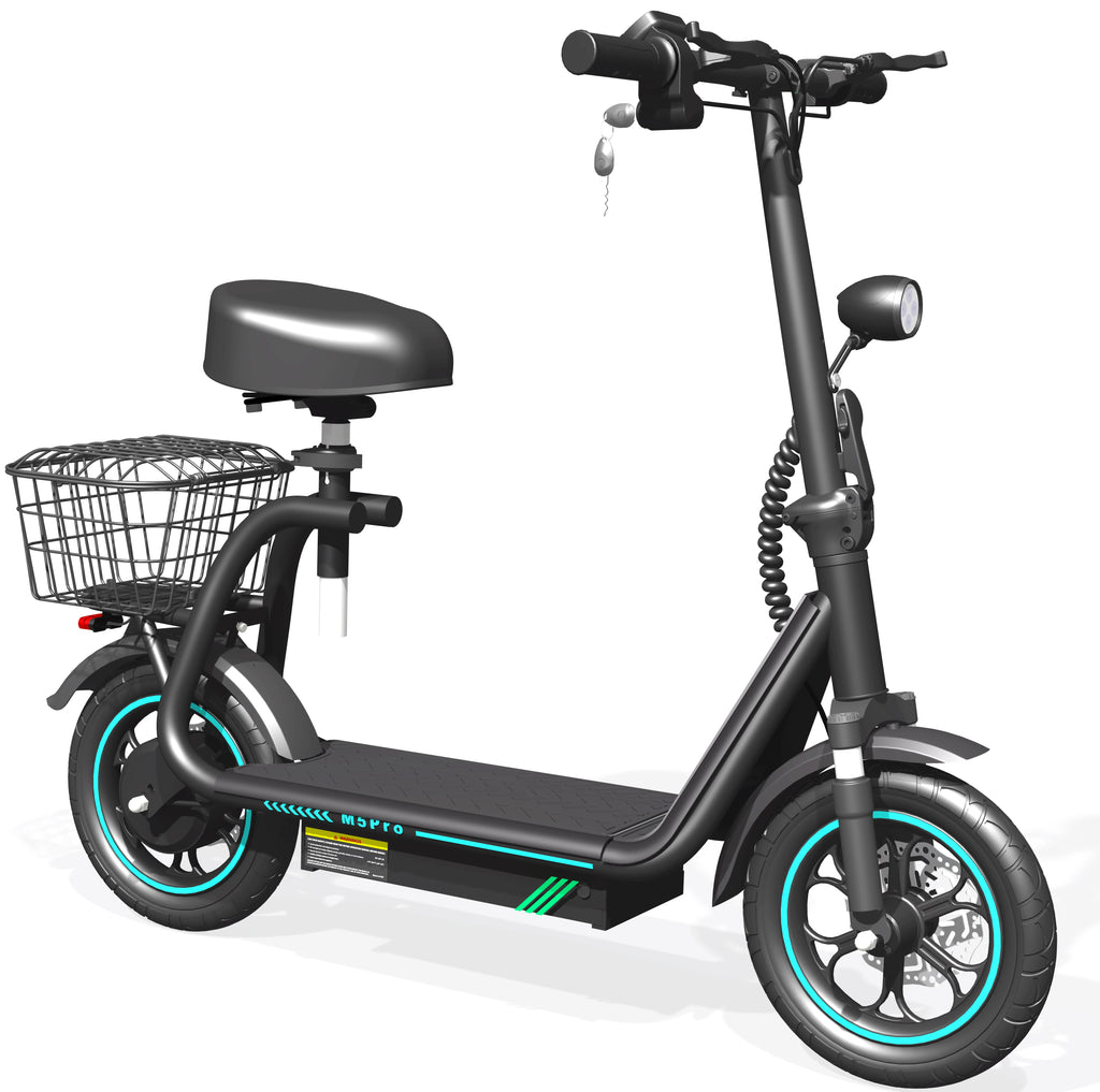 48V 18Ah 750W E-Scooter