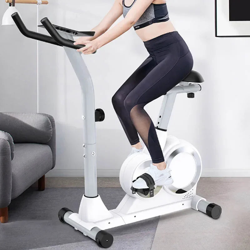Silent Home Exercise Bike