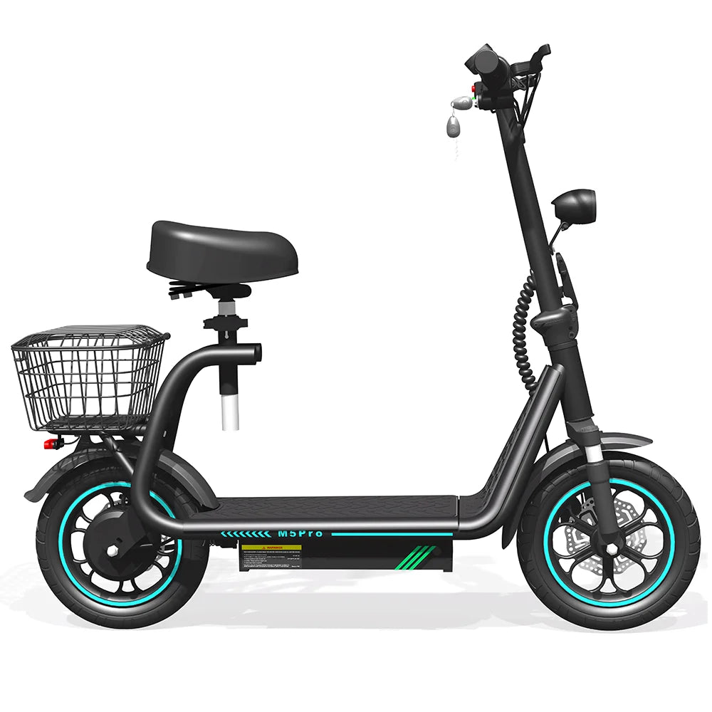 48V 18Ah 750W E-Scooter